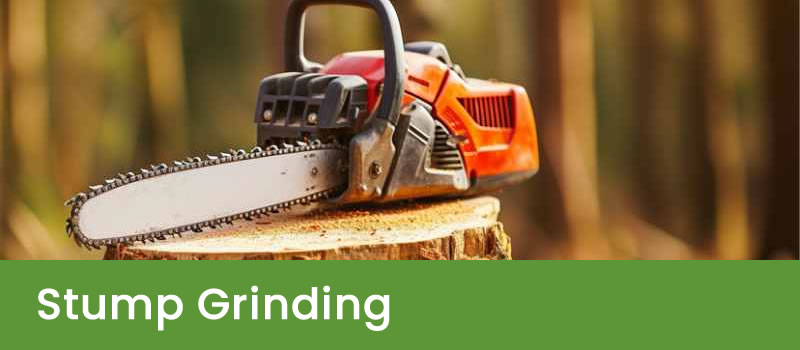 Stump Grinding Brisbane