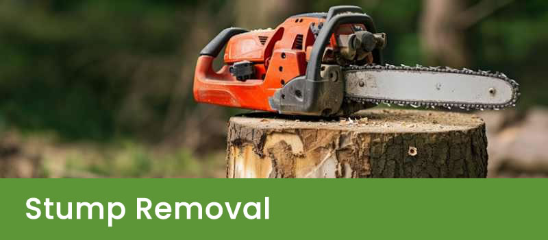 Brisbane Tree Stump Grinding Service